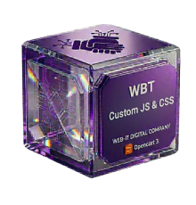 Модуль Custom JS & CSS (WBT Custom JS & CSS)